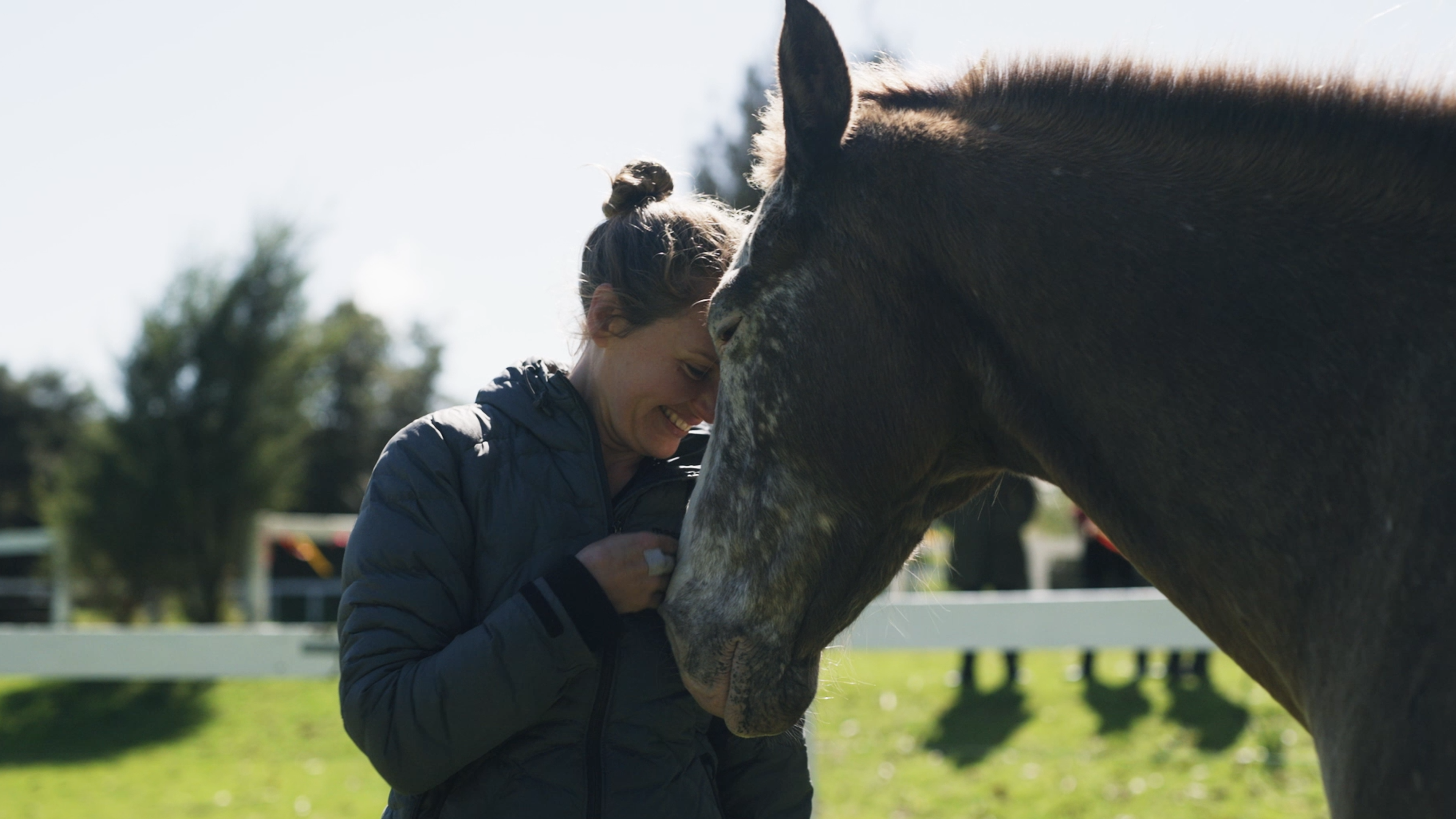 Airbnb Horse Gateway